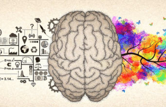 Emotional Intelligence in Marketing: Connecting Beyond Data Emotional Intelligence